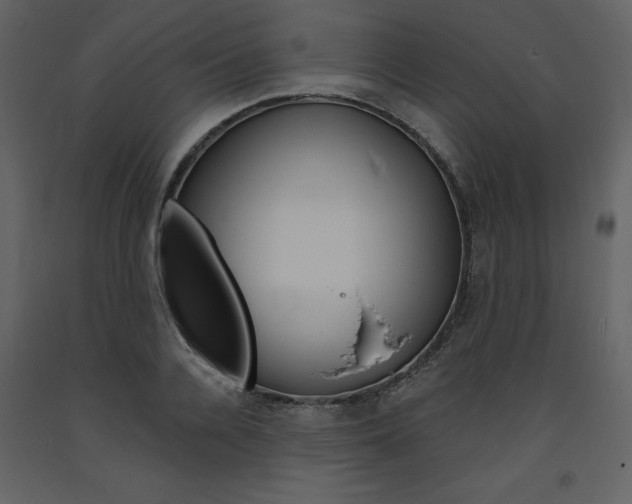 X0000094070936200710190952