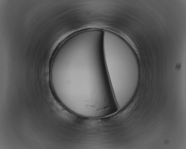 X0000094070939200710190952