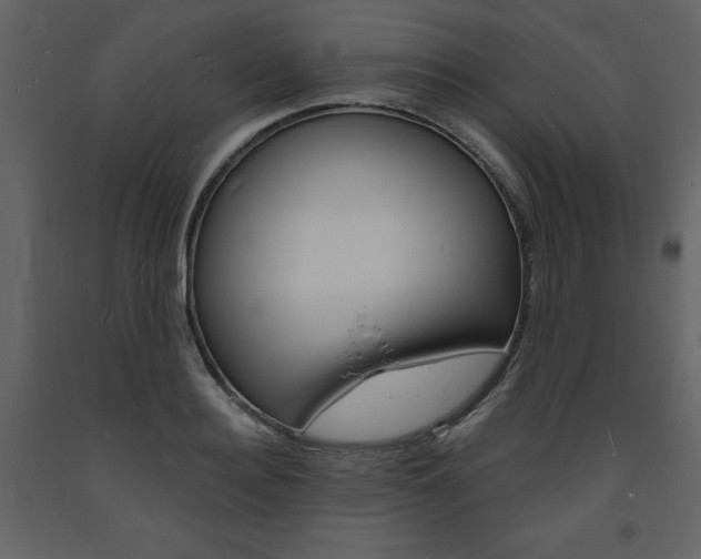 X0000094070940200710190952