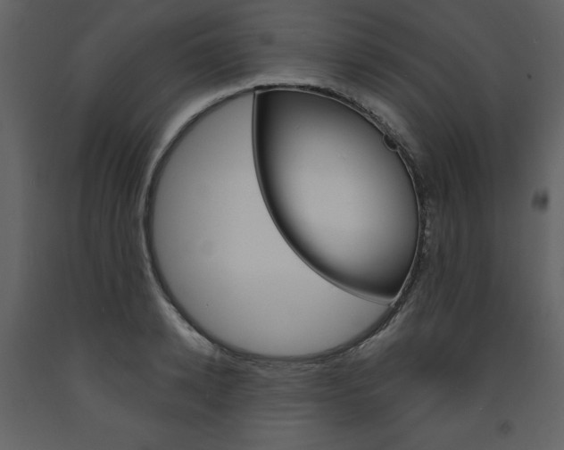X0000094070942200710190952