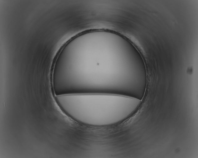 X0000094070943200710190952