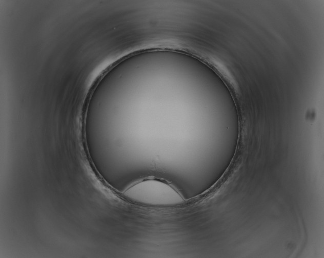 X0000094070944200710190952