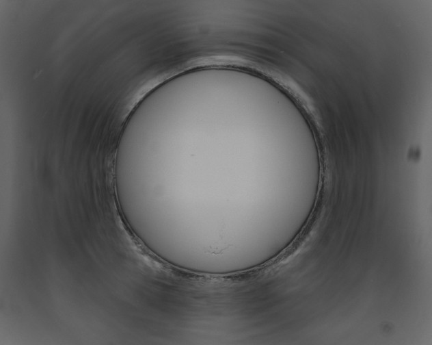 X0000094070945200710190953