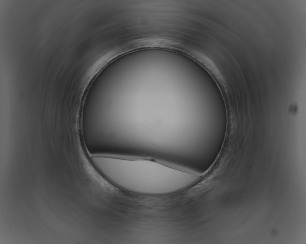 X0000094070946200710190953