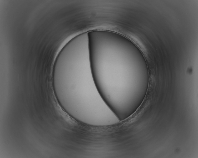 X0000094070948200710190953