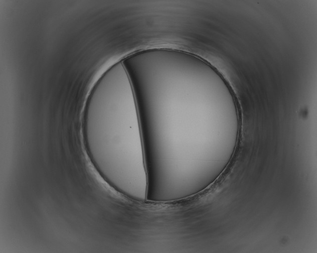 X0000094070949200710190953