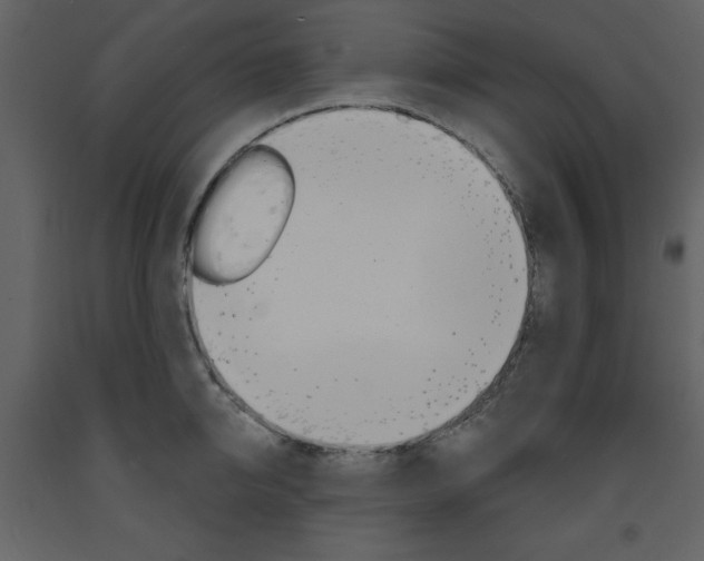 X0000094070950200710190953