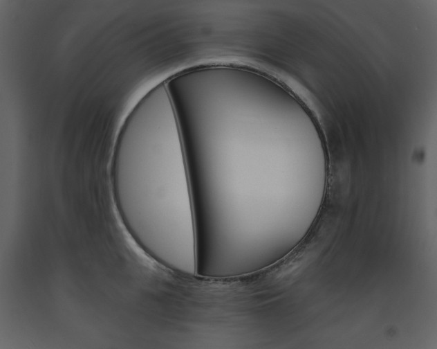 X0000094070951200710190953