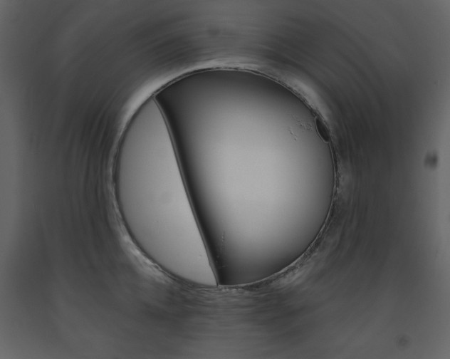 X0000094070952200710190953