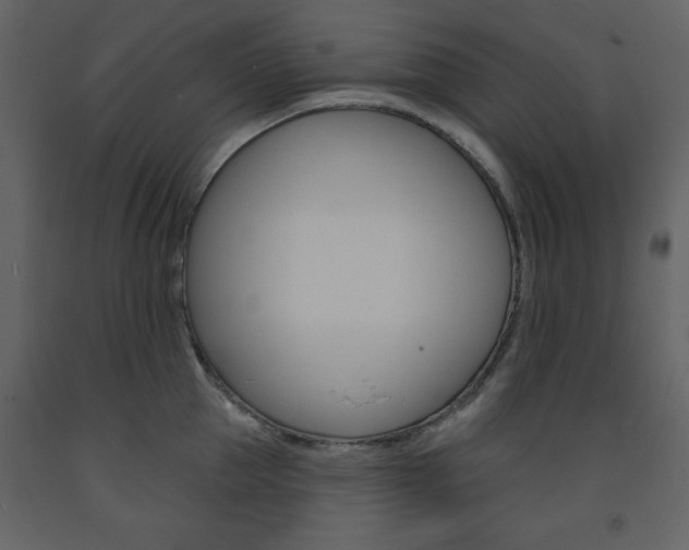 X0000094070953200710190953