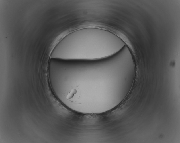 X0000094070954200710190953