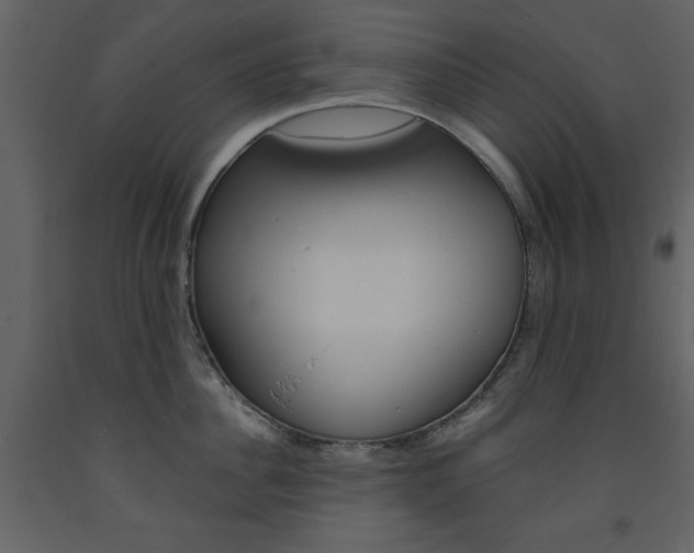 X0000094070956200710190953