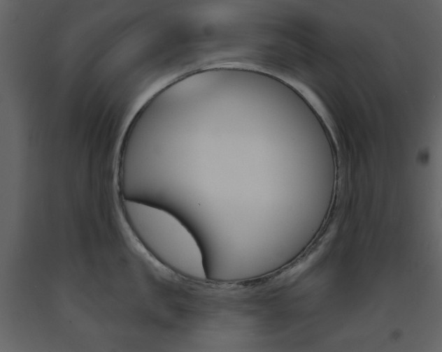 X0000094070957200710190953