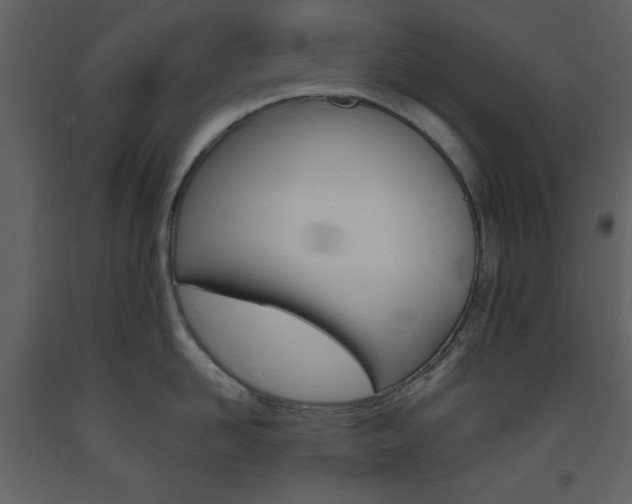 X0000094070958200710190953