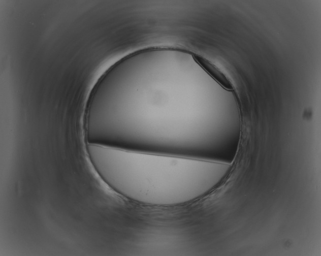 X0000094070959200710190953