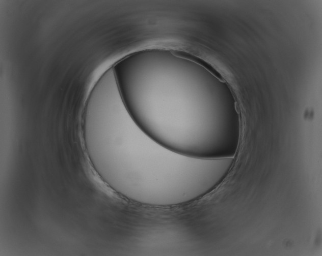 X0000094070960200710190953