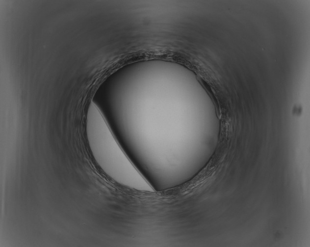 X0000094070961200710190952