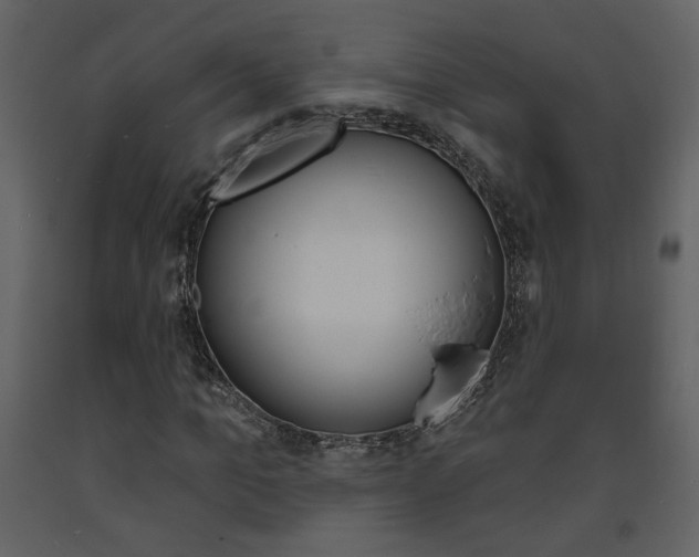 X0000094070965200710190952