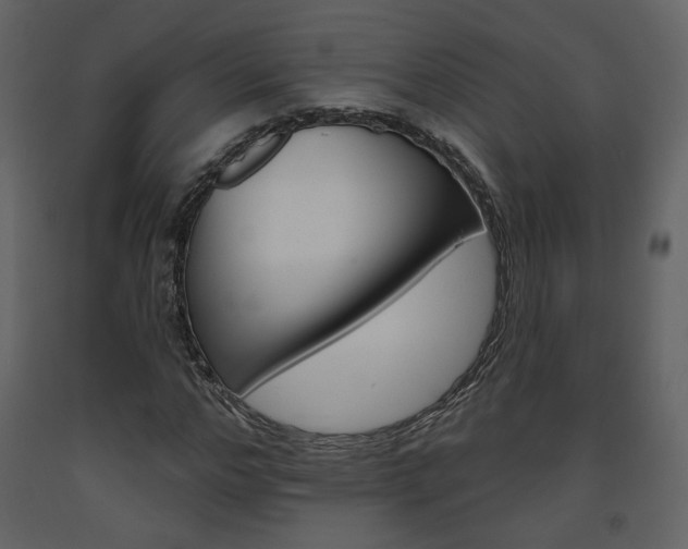 X0000094070968200710190952