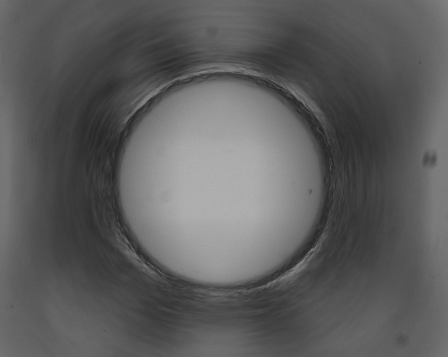 X0000094070969200710190952