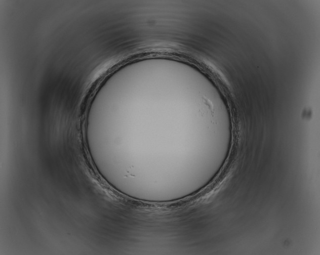 X0000094070970200710190952