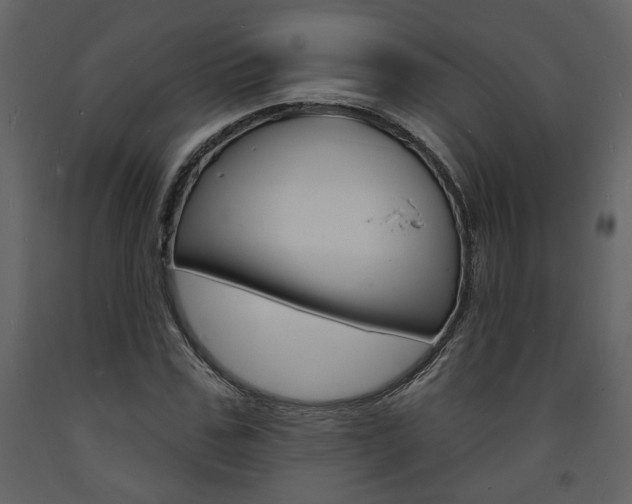 X0000094070971200710190952