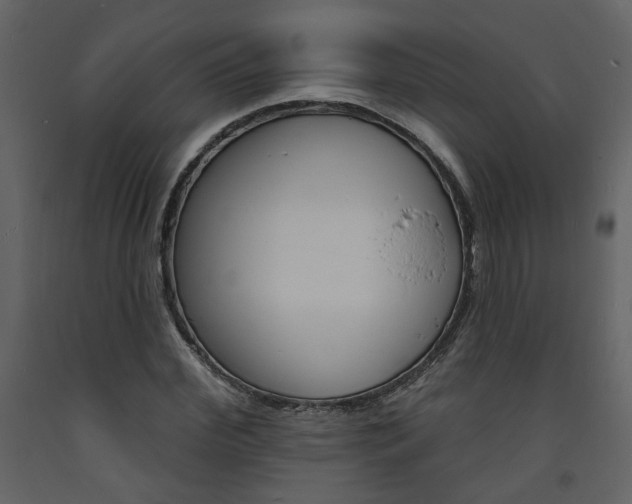 X0000094070972200710190952