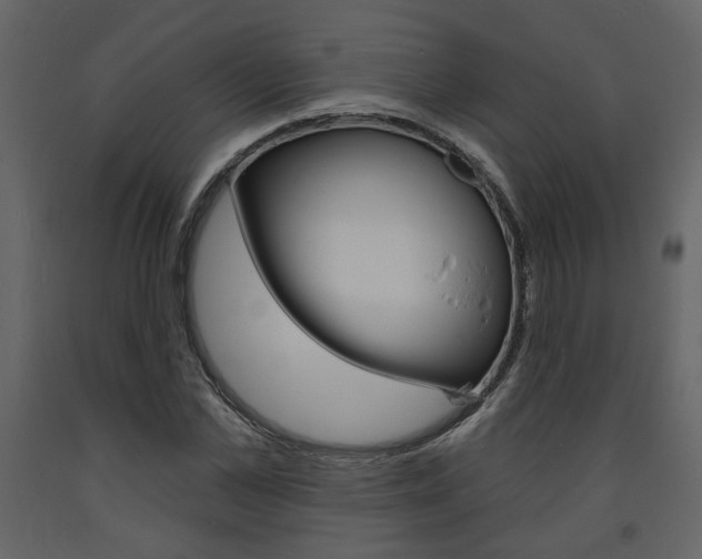 X0000094070973200710190952