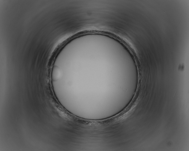 X0000094070974200710190952