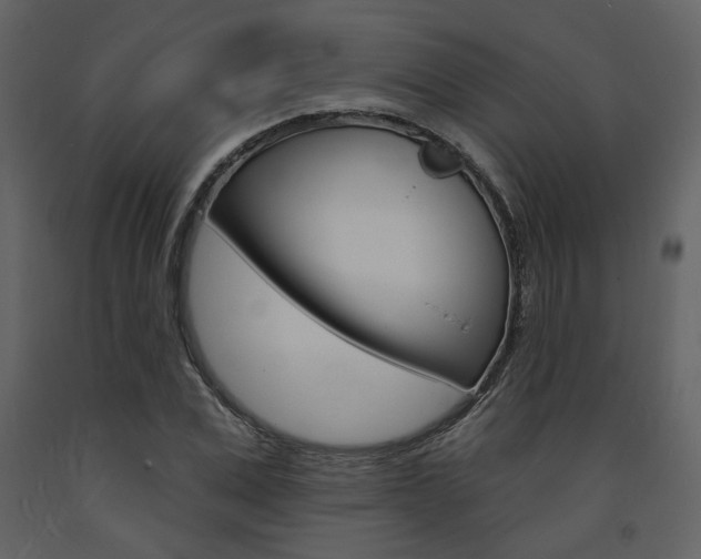 X0000094070975200710190952