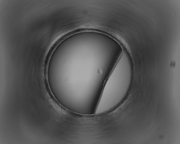 X0000094070976200710190952