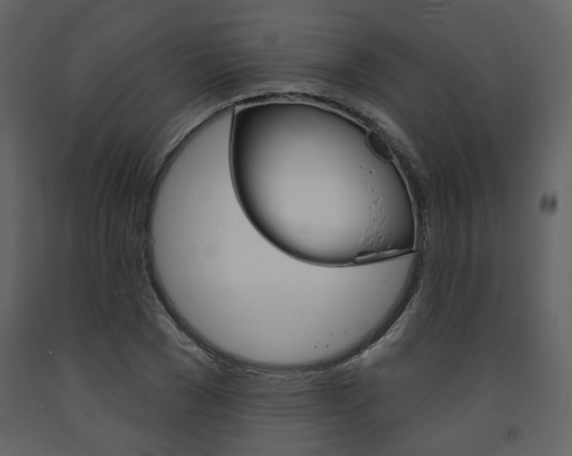 X0000094070977200710190952
