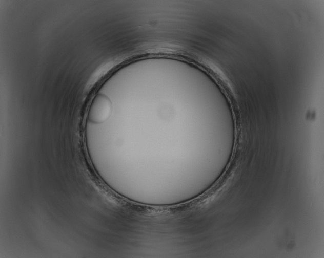 X0000094070978200710190952