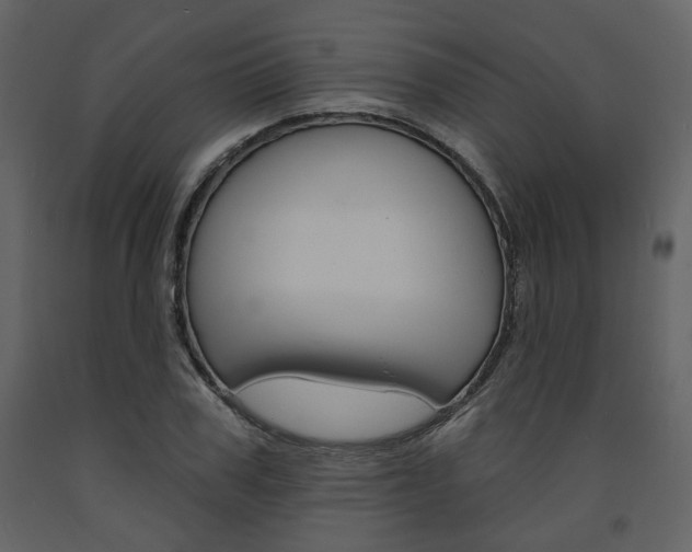X0000094070979200710190952