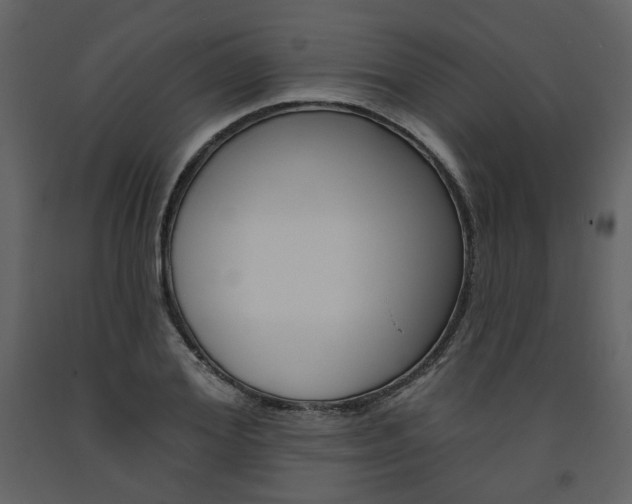 X0000094070980200710190952