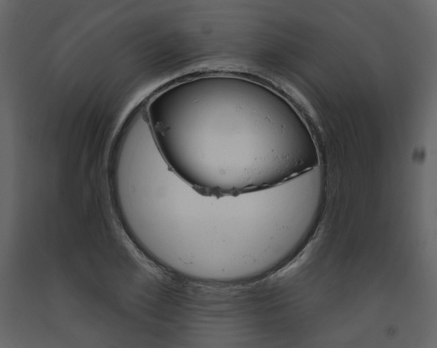 X0000094070981200710190952