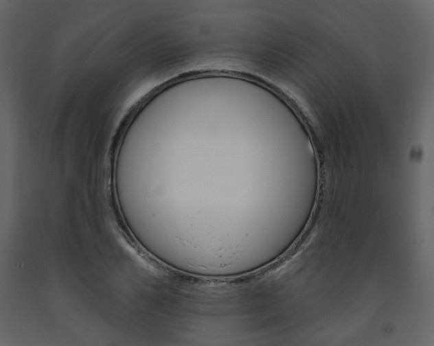 X0000094070982200710190952