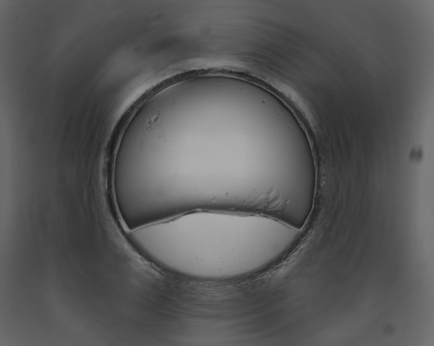 X0000094070983200710190952