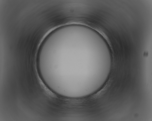 X0000094070984200710190952