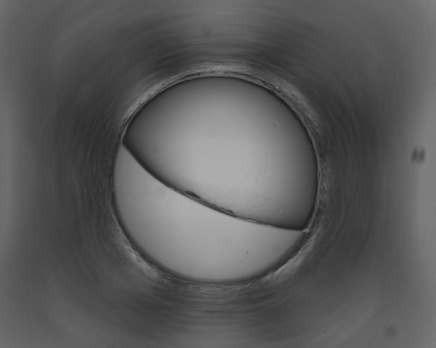 X0000094070985200710190952