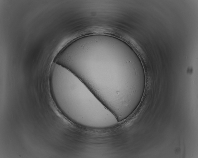 X0000094070986200710190952