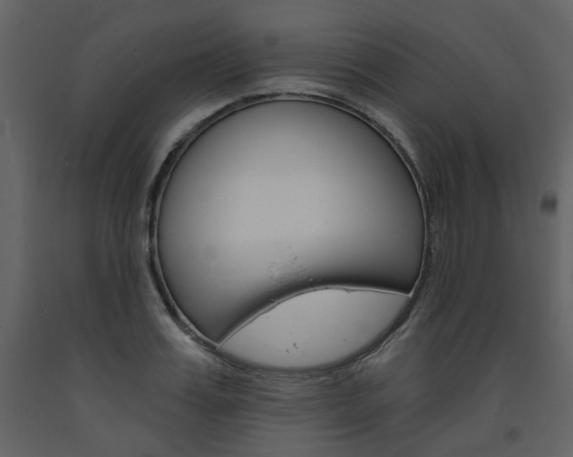 X0000094070987200710190952