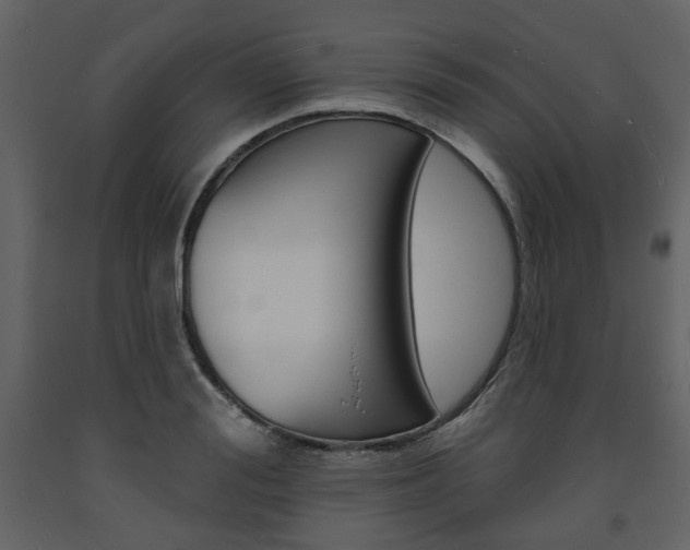 X0000094070988200710190952