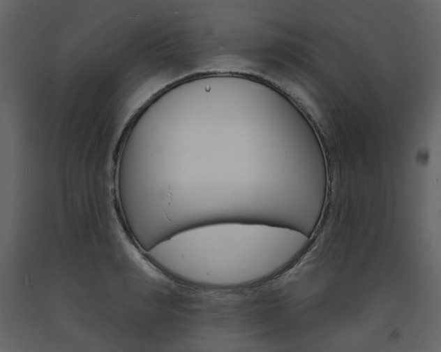 X0000094070990200710190952