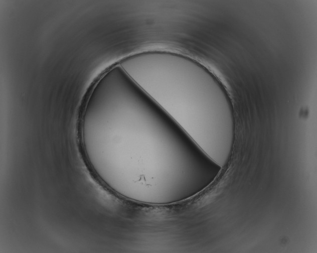 X0000094070991200710190952