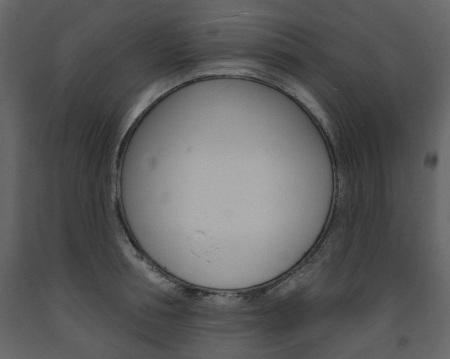 X0000094070994200710190952
