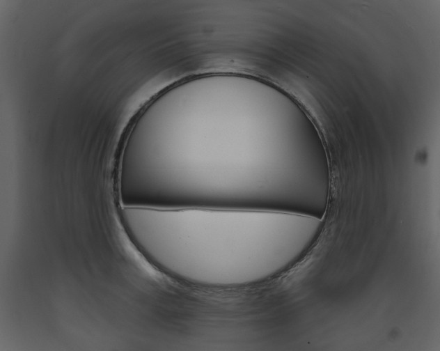 X0000094070995200710190952