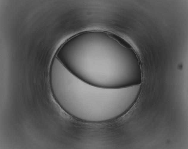 X0000094070996200710190952