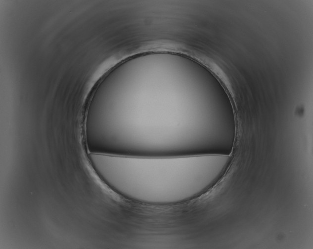 X0000094070997200710190952