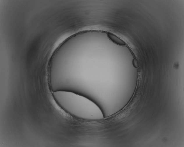 X0000094070998200710190952